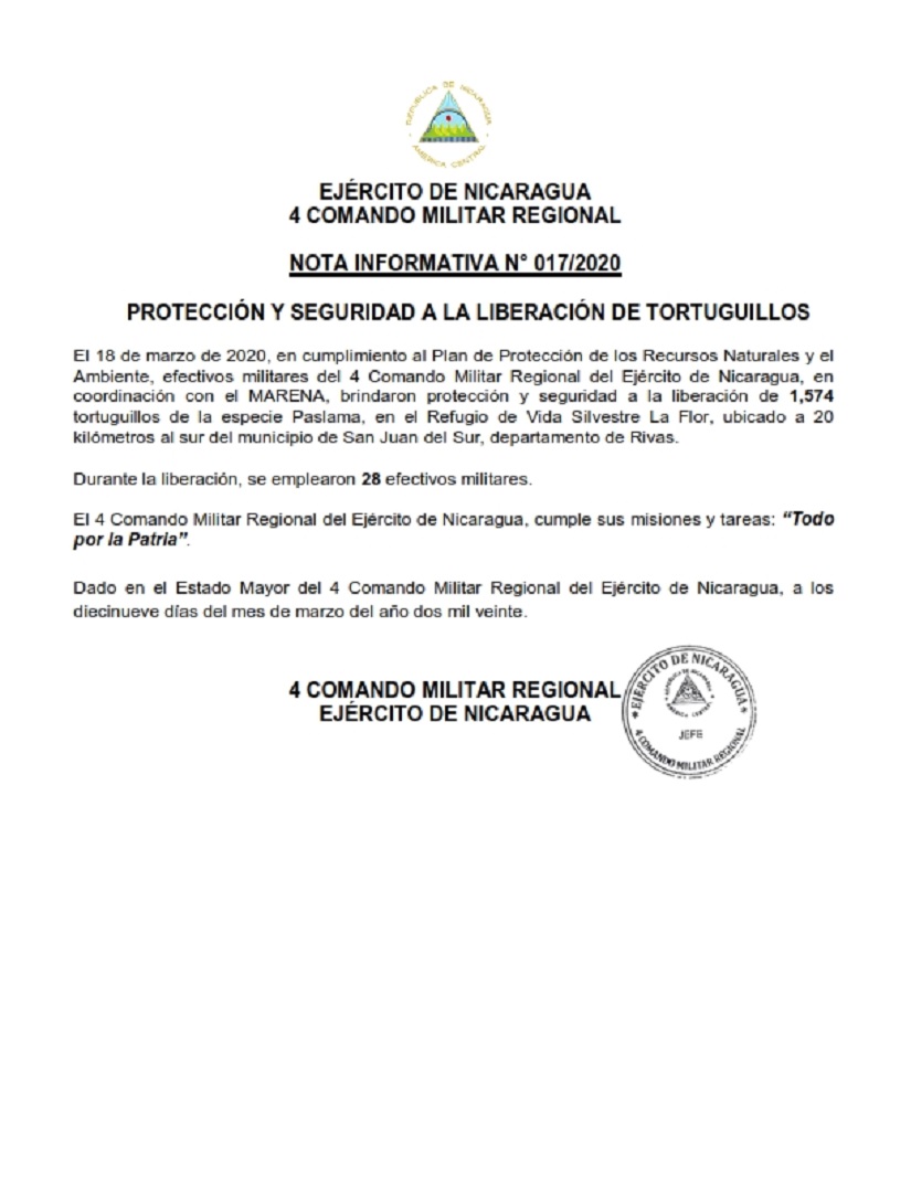 tortugas